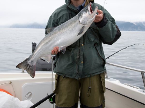 Pesca al salmone in mare in Alaska con battute di pesca sportiva in acque profonde e selvagge del Pacifico settentrionale Pesca al salmone in mare in Alaska con battute di pesca sportiva in acque profonde e selvagge del Pacifico settentrionale