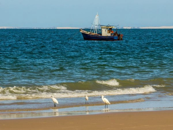 pesca a mosca in acqua salata