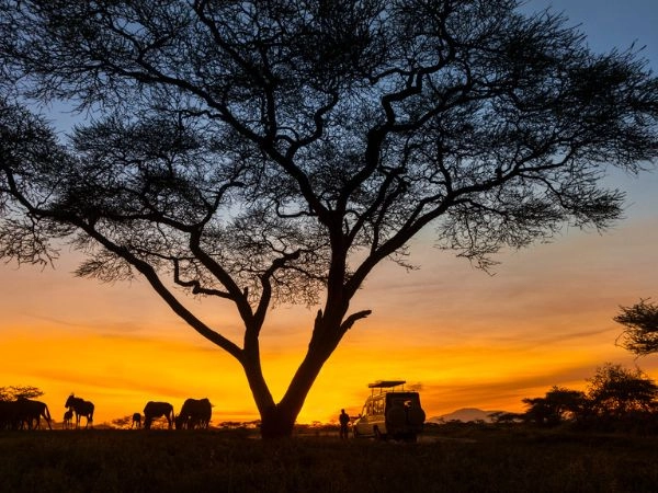 La caccia al bufalo nella Save Valley si organizza su misura La caccia al bufalo nella Save Valley si organizza su misura